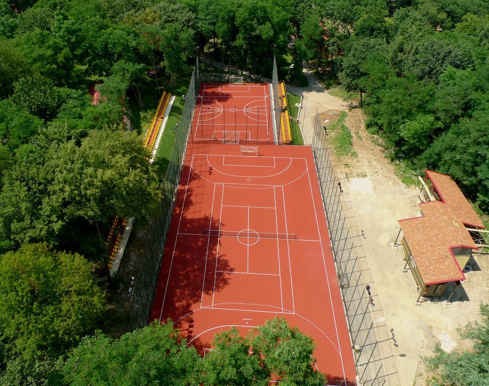 Arsenal Park Transilvania Orăştie Esterno foto