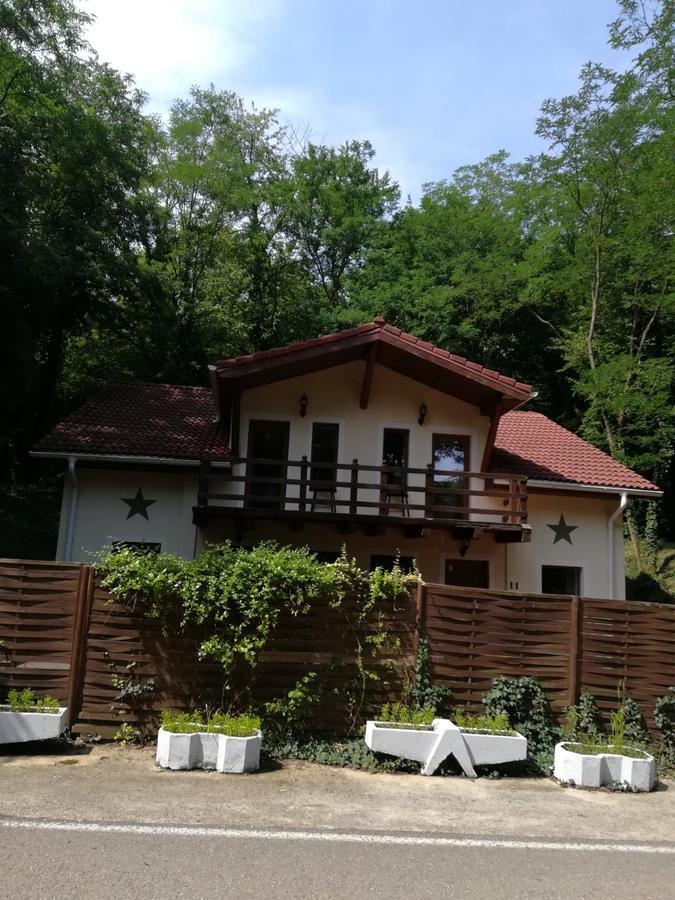 Arsenal Park Transilvania Orăştie Esterno foto